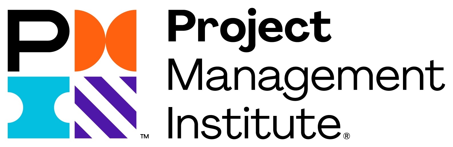 Project Management Institute logo